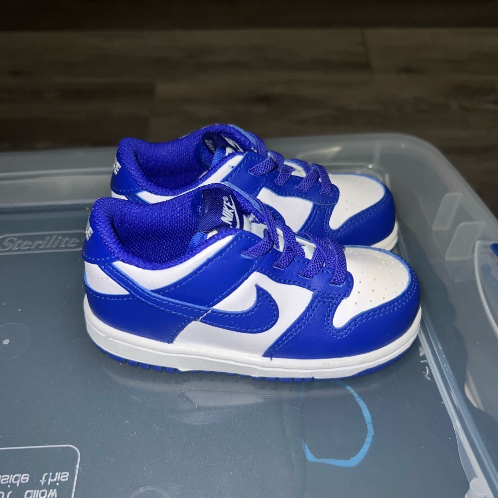 Nike Hyper Royal Blue and White Dunks TD